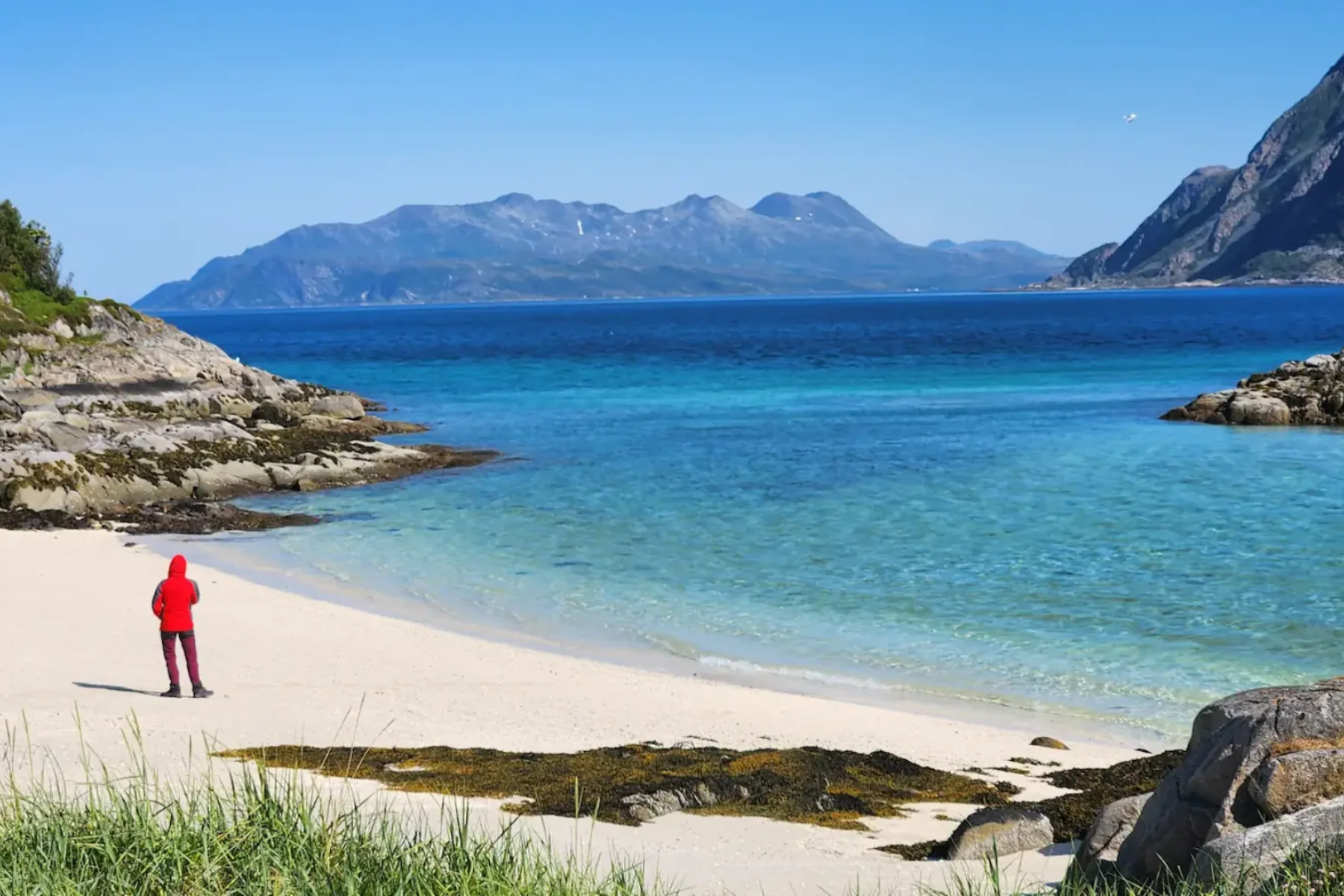 Visitor enjoying the view from Sommarøy beach overlooking a fjord.